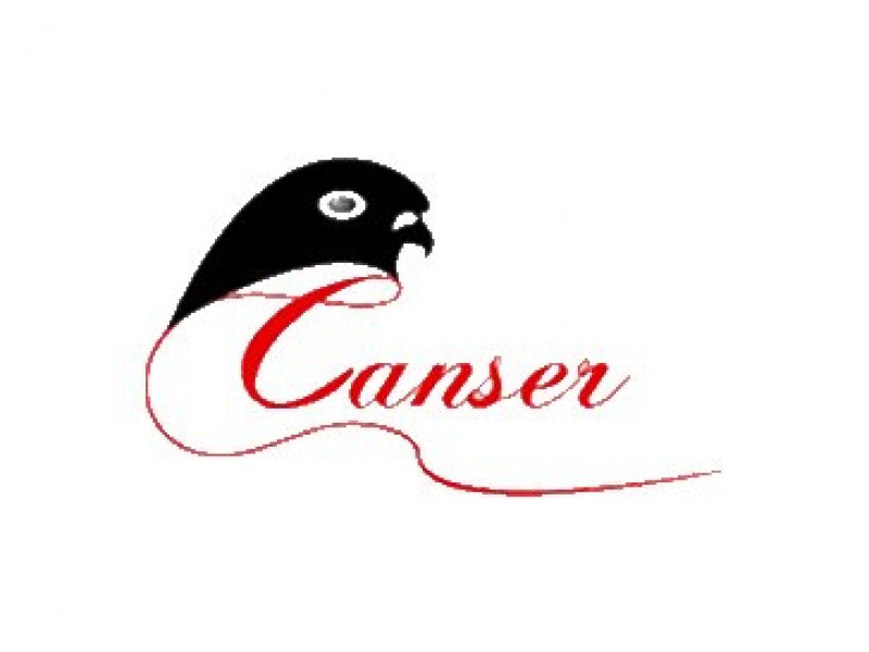 Canser