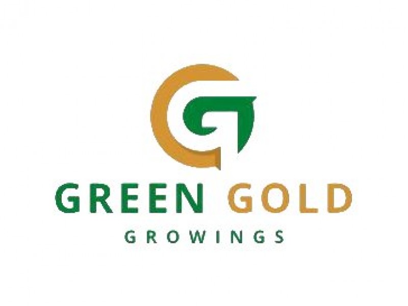 Green Gold Growings