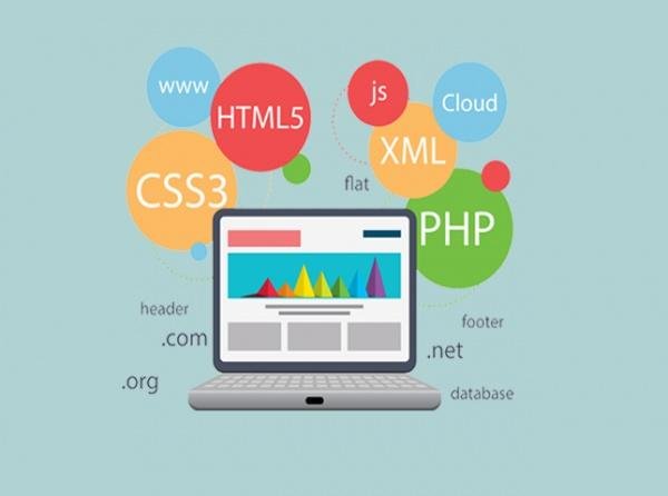 Adana Web Programcıığı