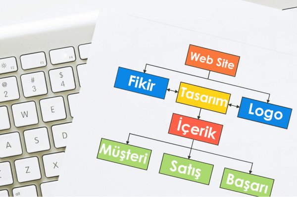 Web Tasarımı Nasıl Öğrenilir?